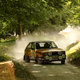Illustration for article titled Tons Of Classic Rally Cars? Tons Of Classic Rally Cars!